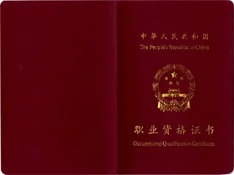 不同证件版式更新,制作时需要关注什么